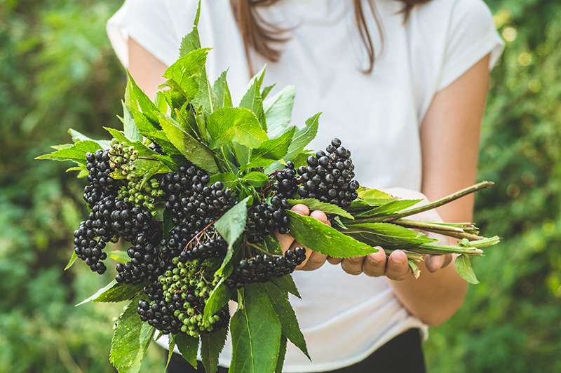 Depositphotos_308304894_l-2015.jpg Depositphotos_308304894_l-2015.jpg