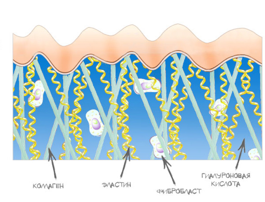 Профиль безопасности гиалуроновой кислоты.png Профиль безопасности гиалуроновой кислоты.png