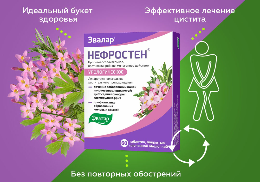 нефростен.jpg нефростен.jpg