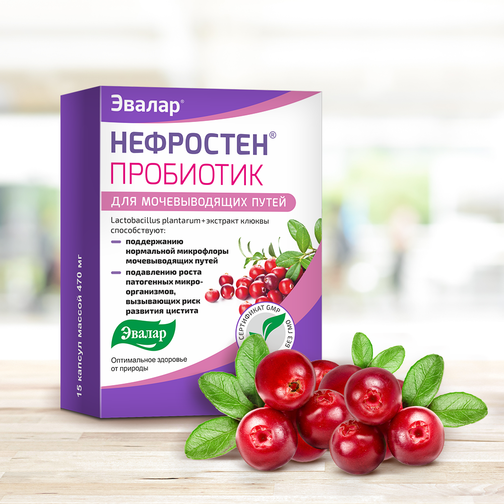 нефростен.png нефростен.png