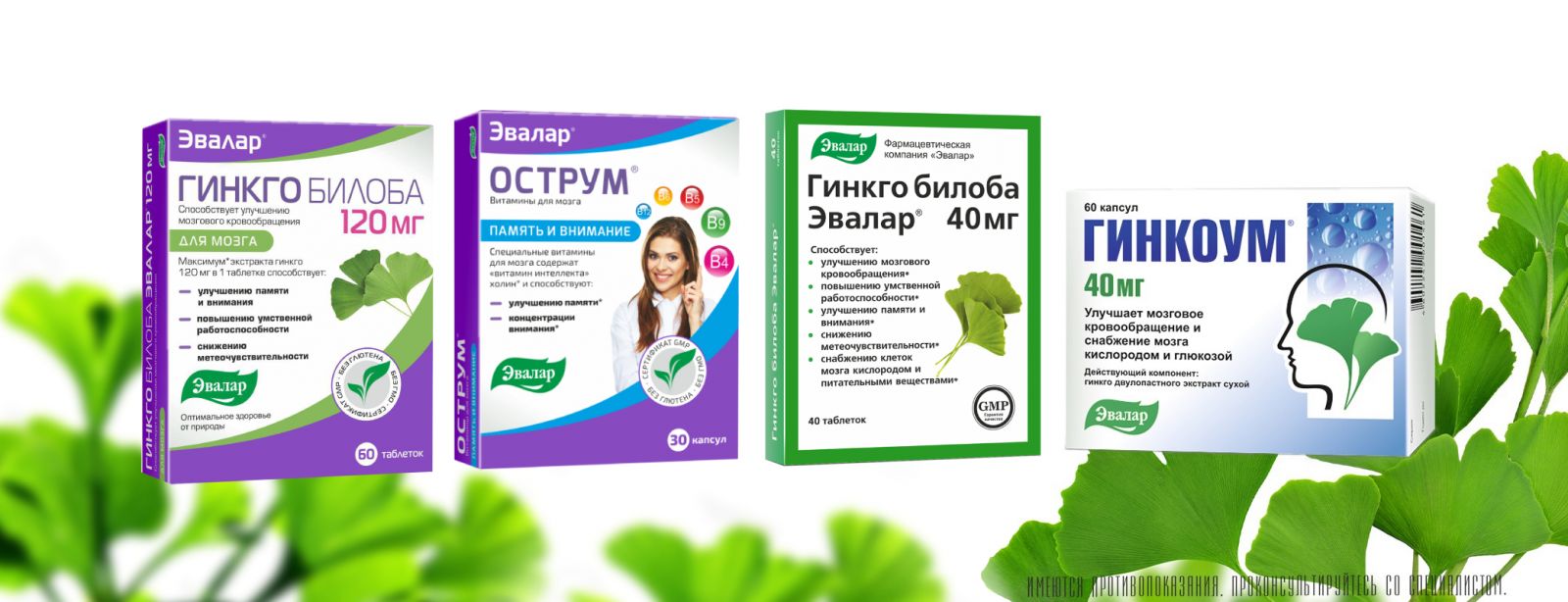 гинкго билоба.jpg гинкго билоба.jpg