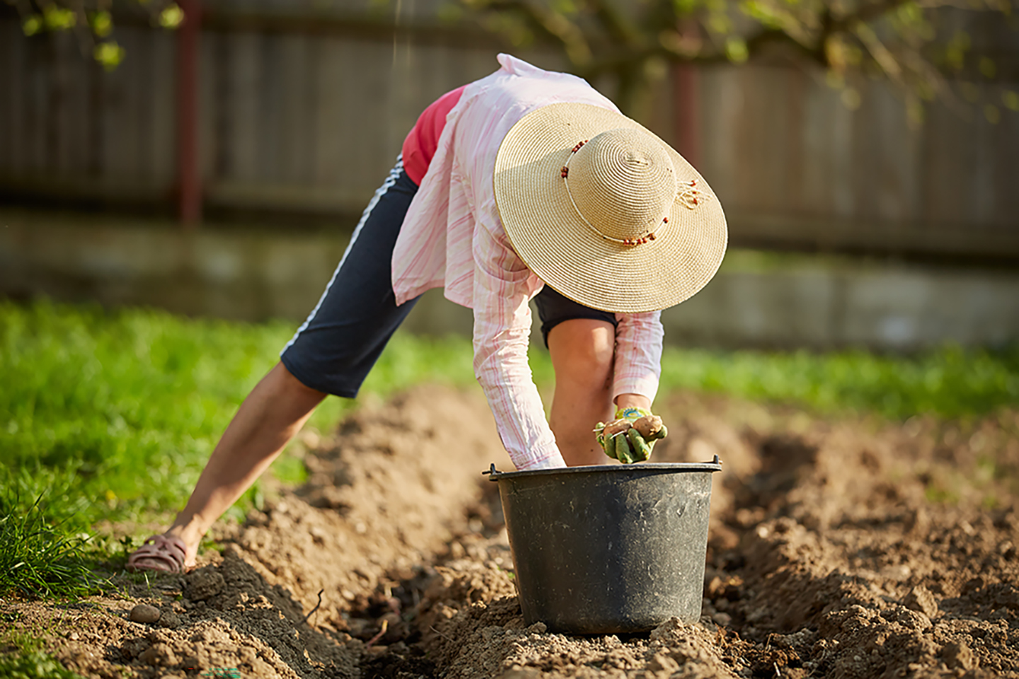 Depositphotos_195006538_xl-2015.jpg Depositphotos_195006538_xl-2015.jpg