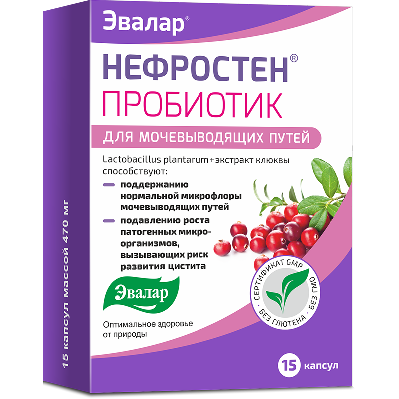 Нефростен Пробиотик (1).png Нефростен Пробиотик (1).png
