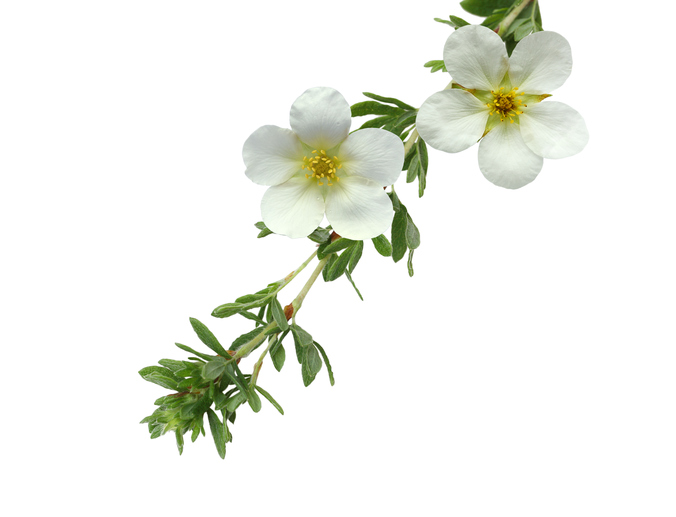 iStock-490274322.jpg iStock-490274322.jpg