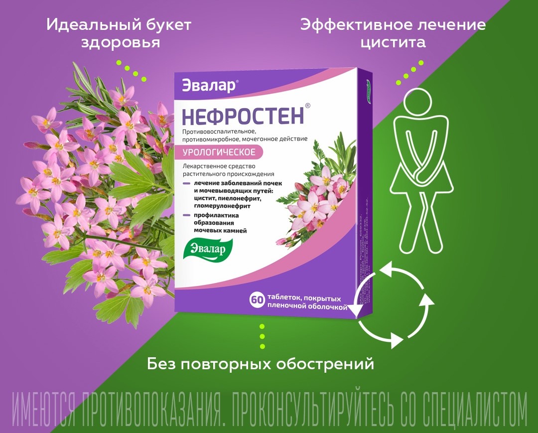 Нефростен от Эвалар.jpg Нефростен от Эвалар.jpg