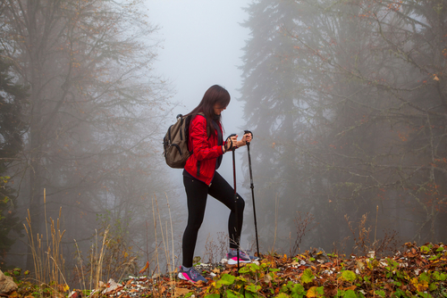 shutterstock_1861253143.jpg shutterstock_1861253143.jpg