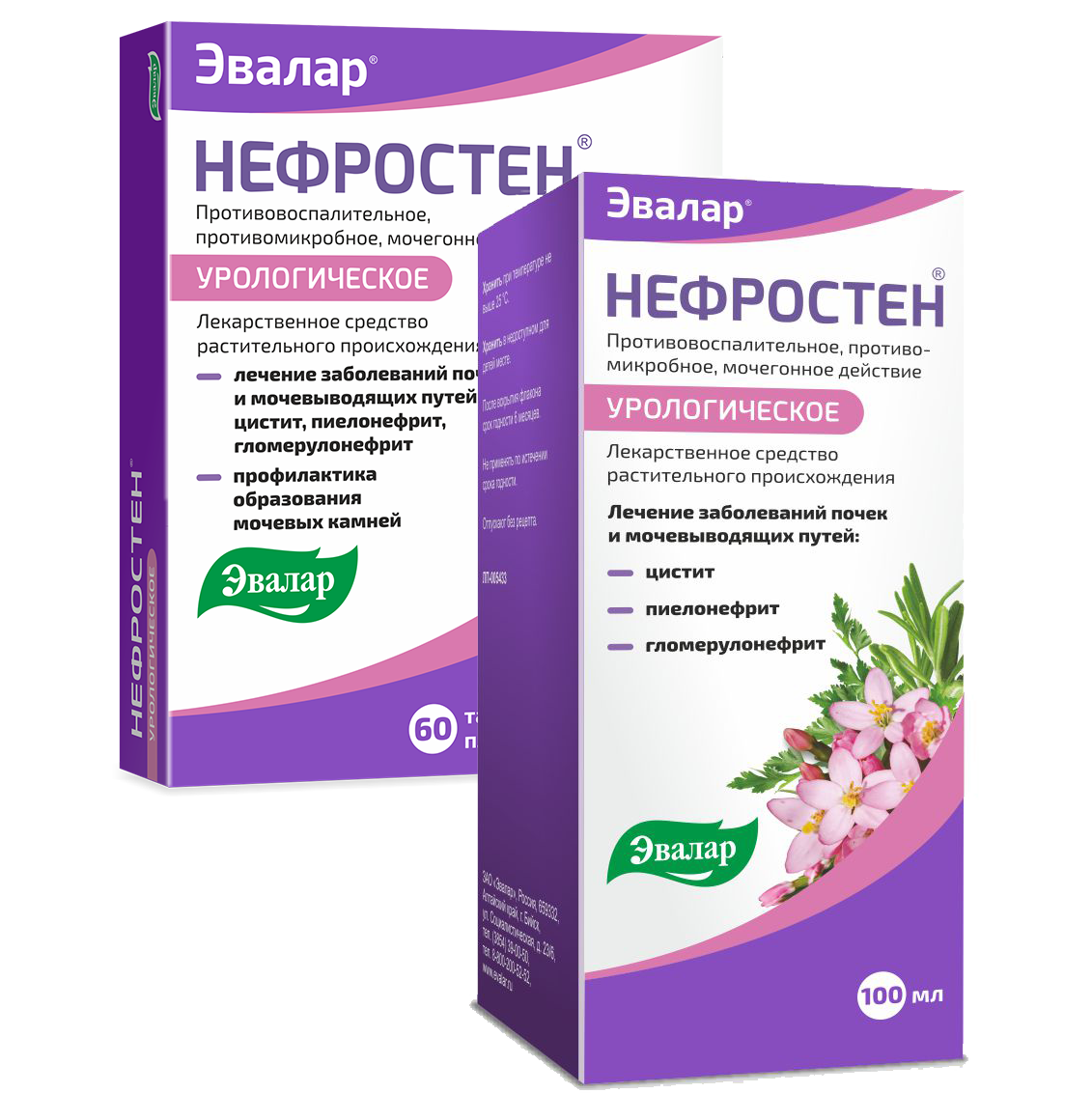 Нефростены ЛС.png Нефростены ЛС.png